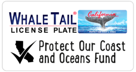 Whale Tail License Plate Protect Our Coast and Ocean Fund